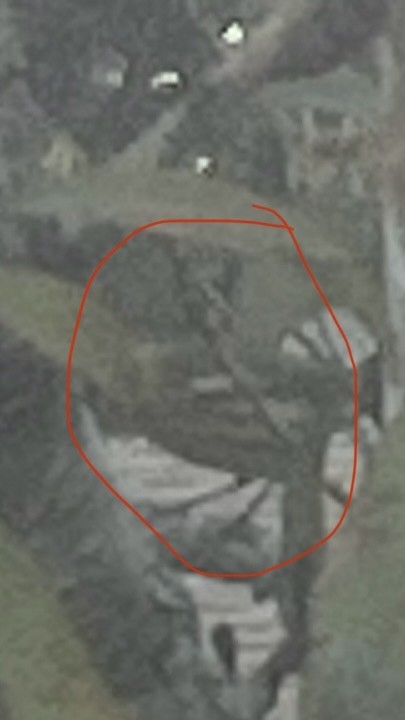 ホオアカアメリカムシクイ - ML645295320