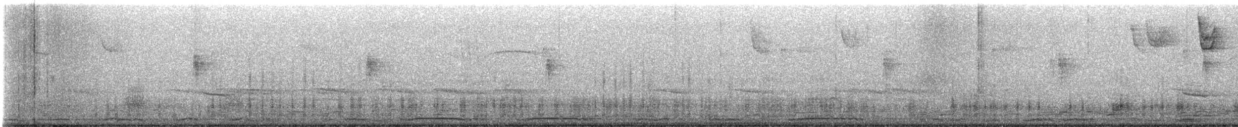 コハクチョウ - ML645295778