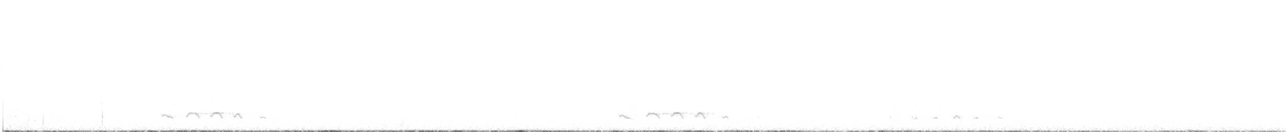 Elf Owl - ML645295820