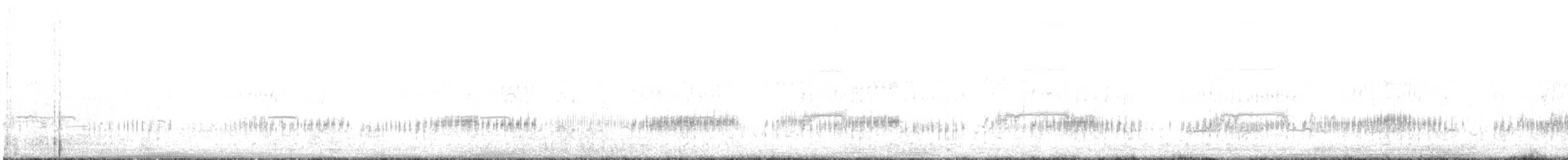 Western Grebe - ML645295909