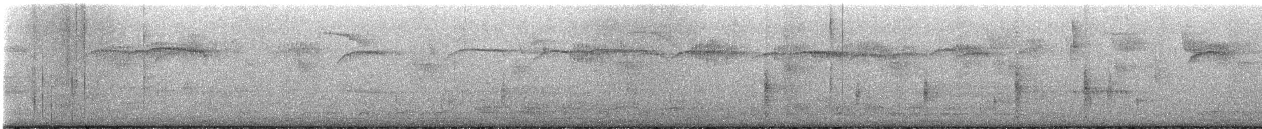 ヒメレンジャク - ML645295941