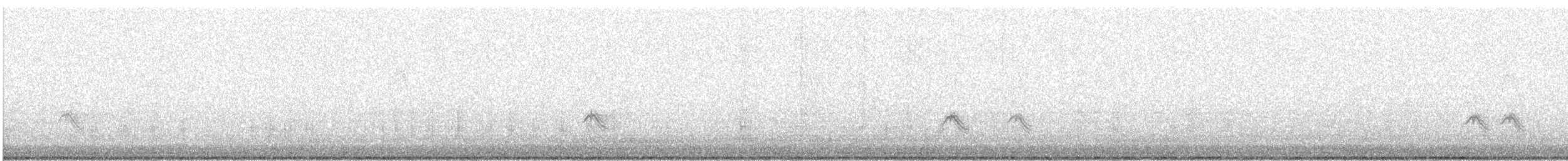 キビタイシメ - ML645296057