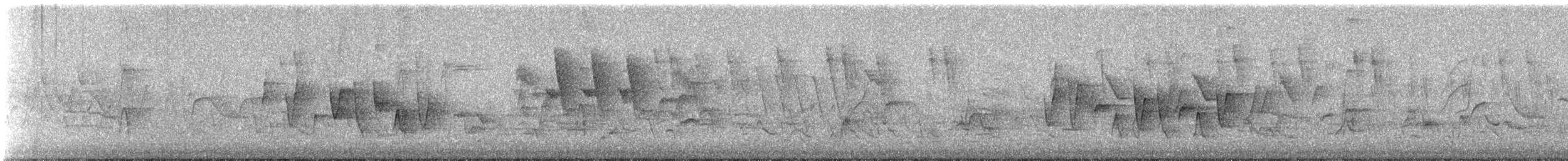 Paruline à gorge grise - ML645296298