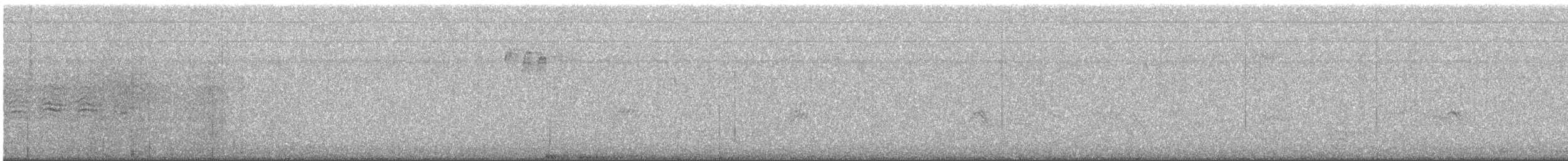 キビタイシメ - ML645296481