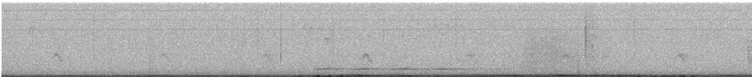 キビタイシメ - ML645296487