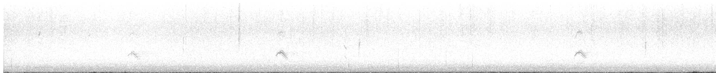 キビタイシメ（第3型） - ML645297234