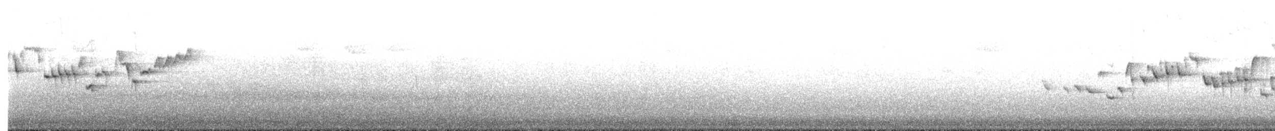 Winter Wren - ML645297273