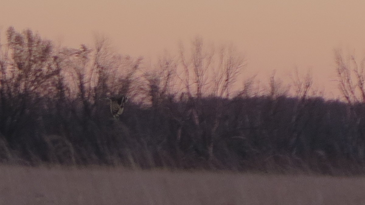 Zingira-hontza - ML645297422