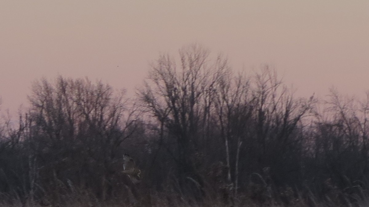 Zingira-hontza - ML645297423