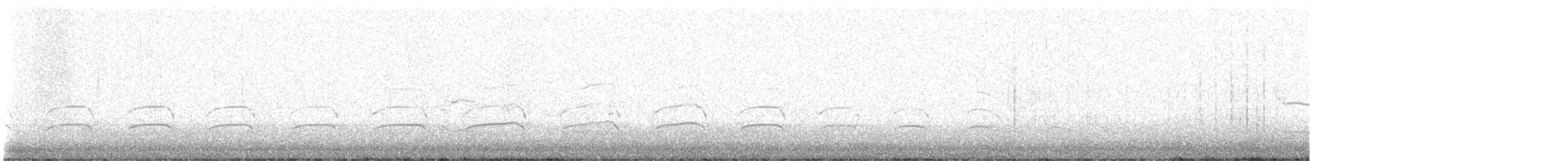 Larus sp. - ML645297577