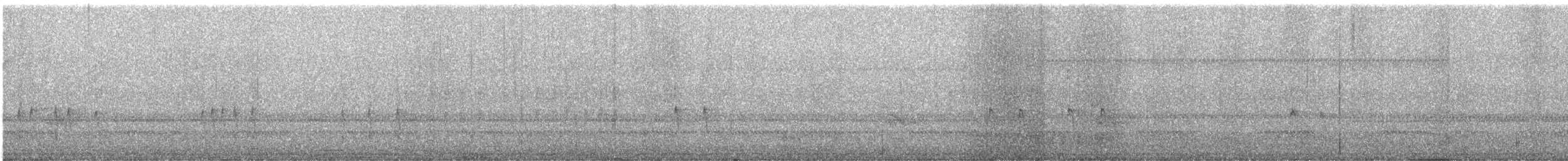 Winter Wren - ML645298490