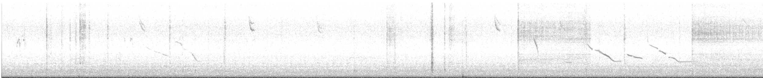 Chihuahuan Meadowlark - ML645299229