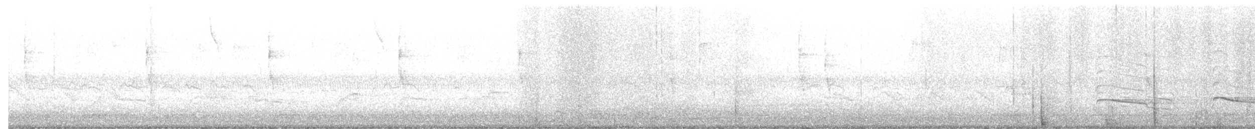 bird sp. - ML645299246