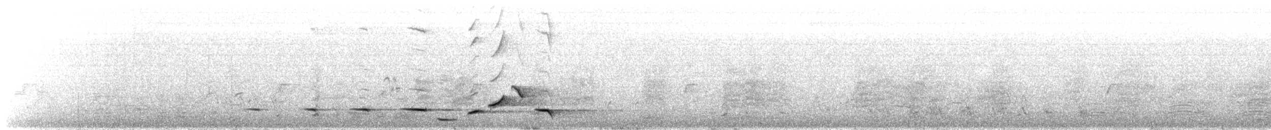 Серогрудый питуи - ML645300402