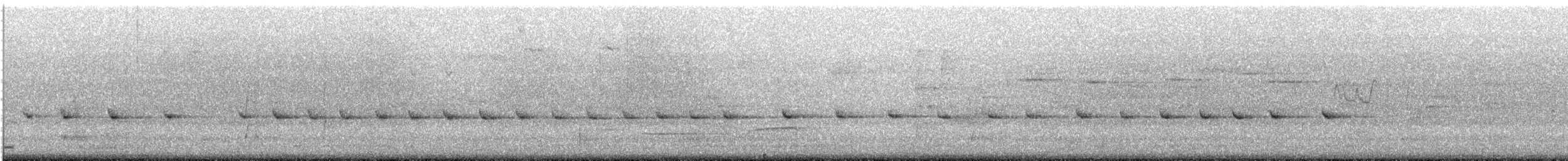 Белогорлая ложнопищуха [группа leucophaea] - ML645300419