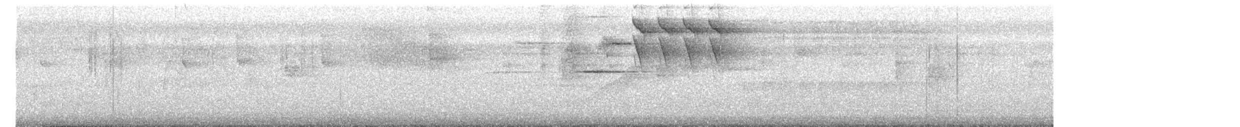 Аспидный просяночник - ML645300436