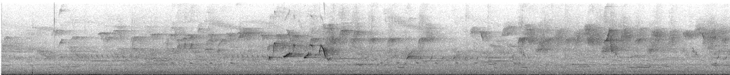 Чёрно-белая веерохвостка - ML645300476