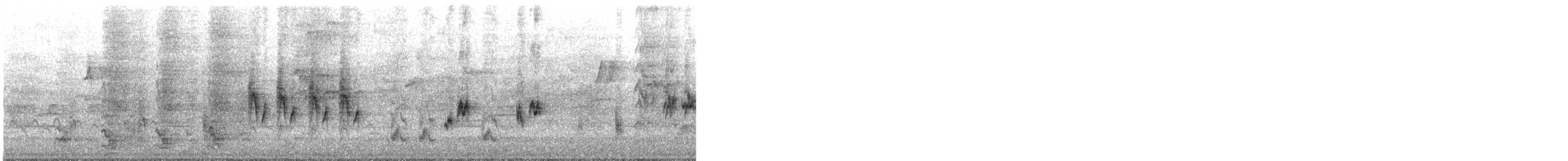 Carricero Australiano - ML645300563