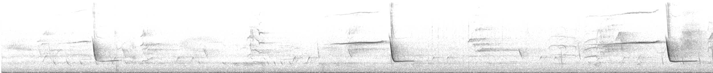 Silbador Rufo - ML645300576