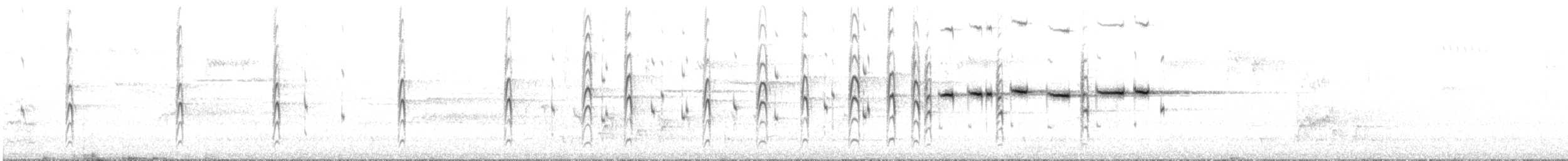 Серая веерохвостка (alisteri) - ML645300578