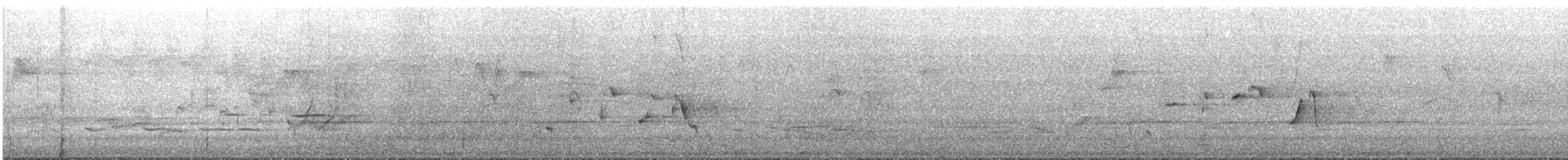 Чёрно-белая веерохвостка - ML645300692