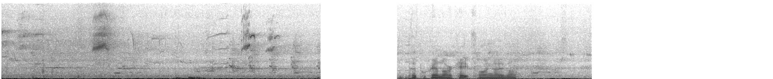 Purple-crowned Lorikeet - ML645300743