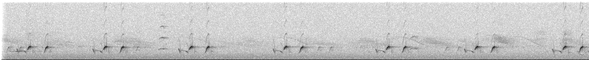 Streifenpanthervogel (substriatus) - ML645300880