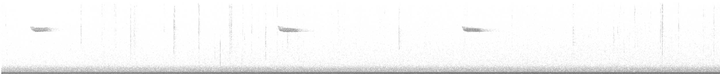 Amerikabaumläufer - ML645300883