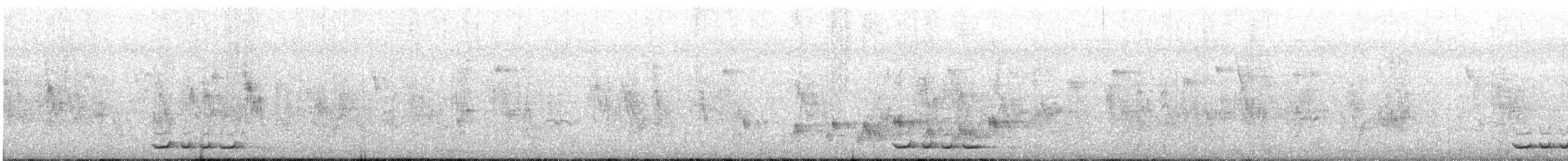 Taiwansäbler - ML645300899