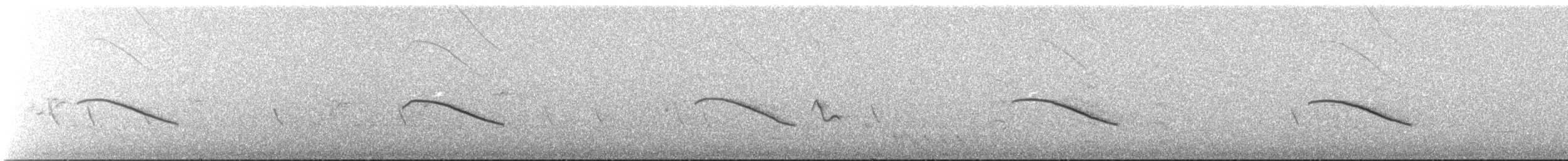 Rotschwanzkuckuck - ML645300906