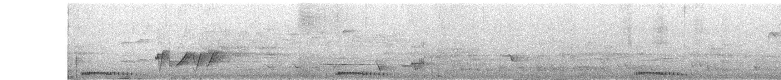 Friedenstäubchen - ML645300915