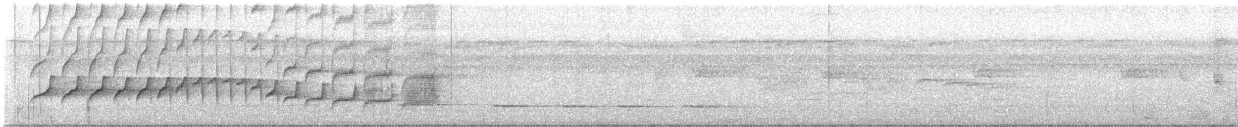 Weißkehl-Ameisenvogel - ML645300942