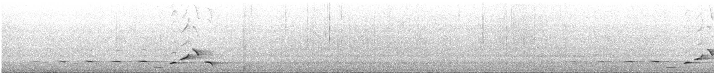 Weißzügel-Dickkopf - ML645300985