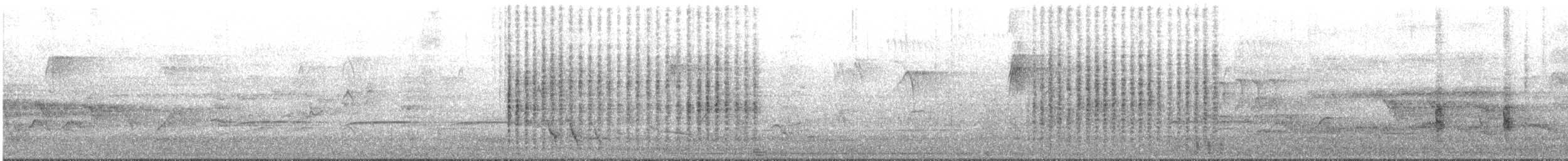 Australrohrsänger - ML645301009