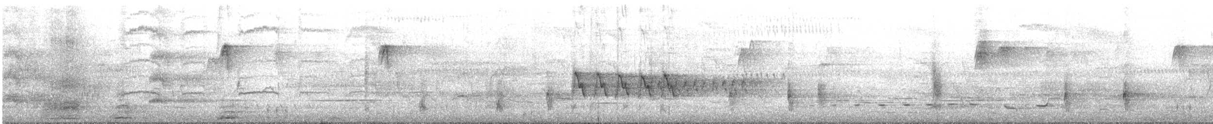 Australrohrsänger - ML645301021