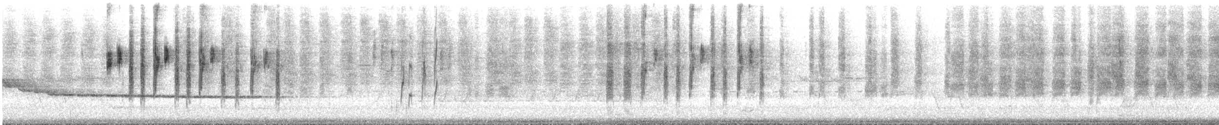 Stricheldornschnabel - ML645301067