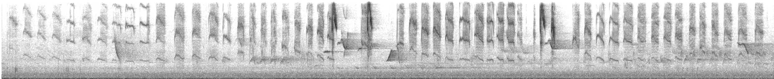 Prachtstaffelschwanz - ML645301140