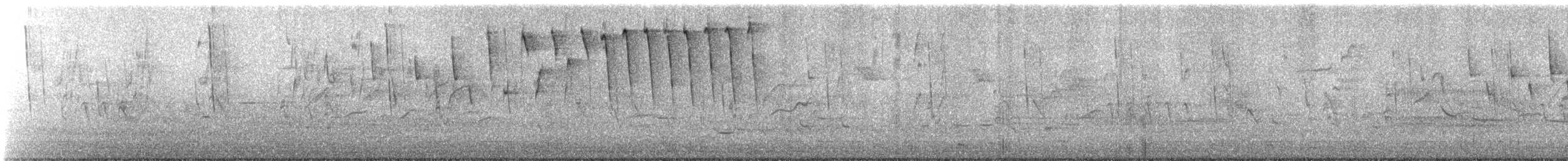 Brauenwaldsänger - ML645301143
