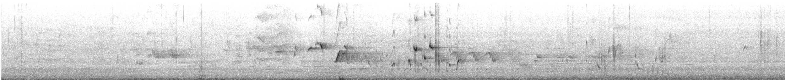 Gartenfächerschwanz - ML645301153