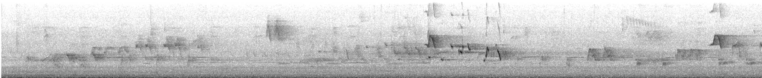 Gartenfächerschwanz - ML645301155