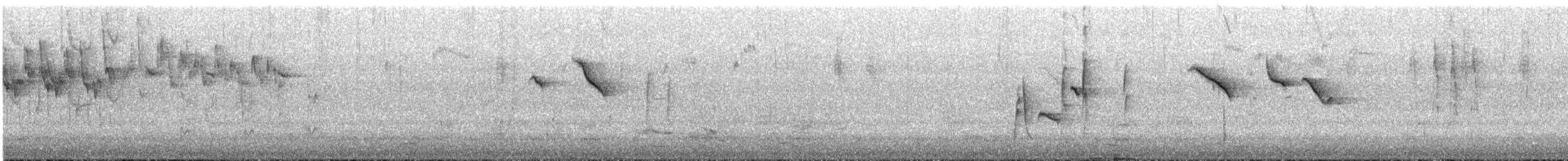 Chestnut-rumped Thornbill - ML645301252