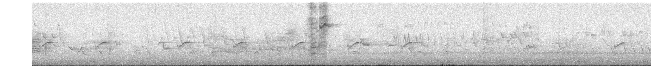 Least Sandpiper - ML645301261