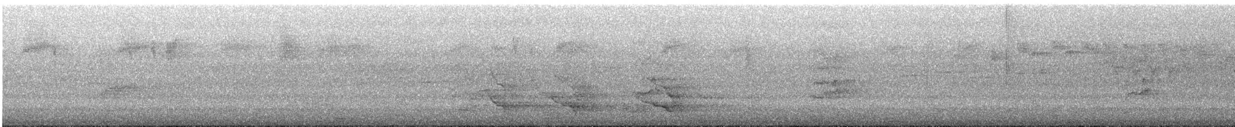 Yellow-tailed Black-Cockatoo - ML645301317