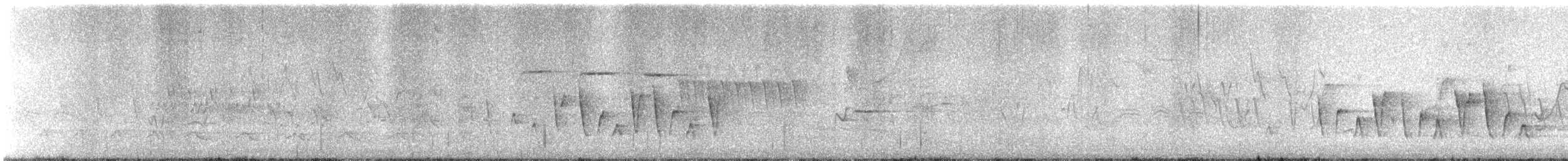 Paruline à gorge grise - ML645301718