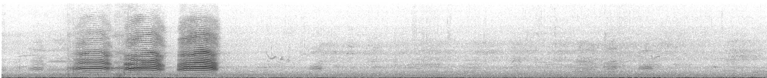 Южноавстралийский ворон - ML645301947