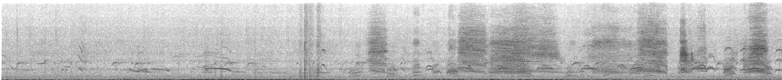 White-winged Chough - ML645301950