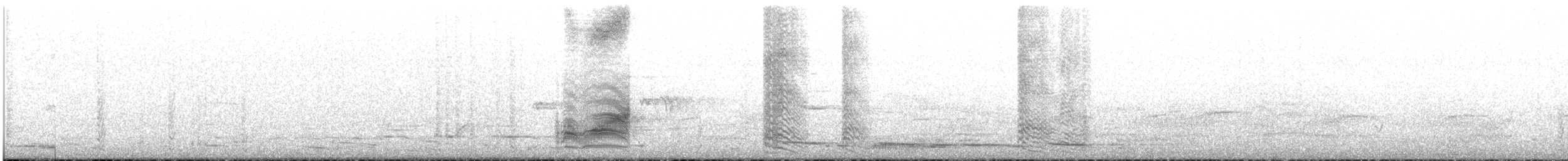 White-browed Babbler - ML645302009