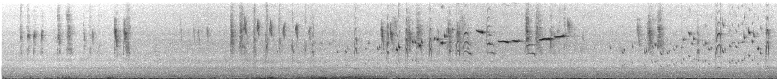 ヒメトゲハシムシクイ - ML645302033