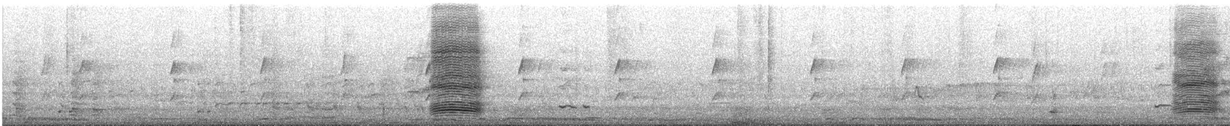 Южноавстралийский ворон - ML645302048