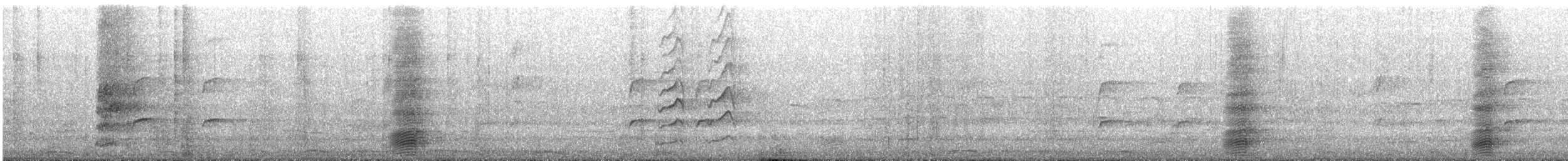 Южноавстралийский ворон - ML645302197